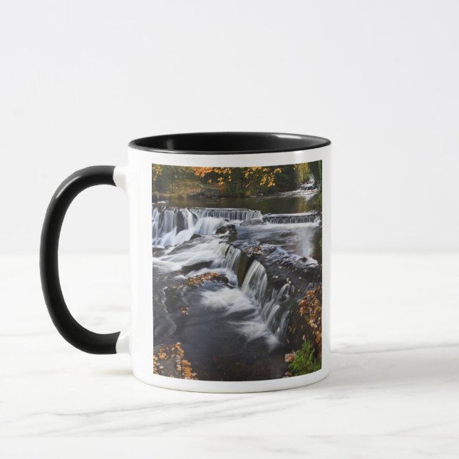 Caneca EUA, Michigan, Península Superior. Bond Falls e (Esquerda)