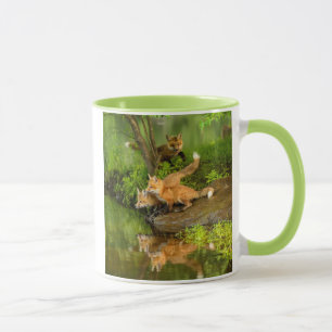 Caneca EUA, Minnesota, Sandstone, Vida Selvagem de Minnes