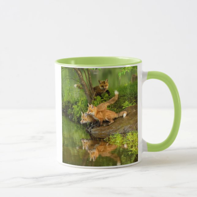 Caneca EUA, Minnesota, Sandstone, Vida Selvagem de Minnes (Direita)