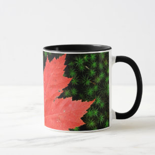 Caneca EUA, Missouri, Floresta Nacional Mark Twain