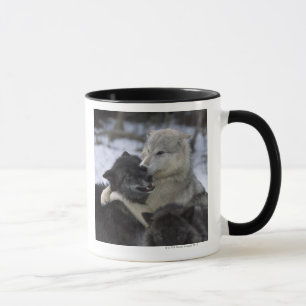 Caneca EUA, Montana, lobos que jogam na neve