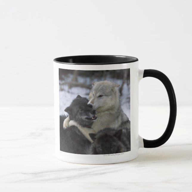 Caneca EUA, Montana, lobos que jogam na neve (Direita)