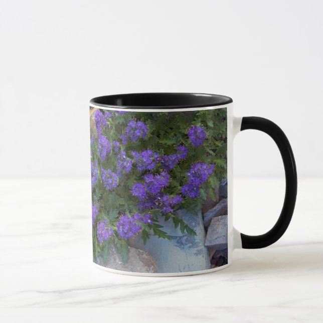 Caneca EUA, Montana, Parque Nacional Glacier (Direita)