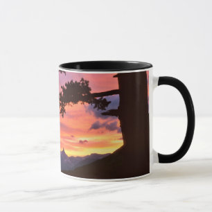 Caneca EUA, Montana, Parque Nacional Glacier. Paisagem