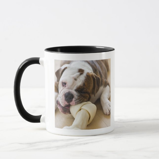 Caneca EUA, New-jersey, Jersey City, filhote de cachorro (Esquerda)