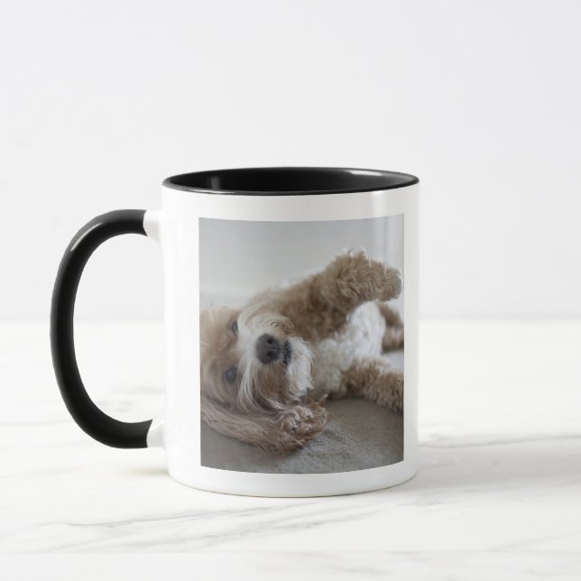Caneca EUA, New York, Nova Iorque, Brooklyn, Cockapoo (Esquerda)