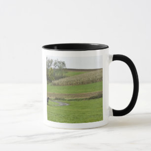 Caneca EUA, nordeste de Ohio. Bugre Amish em fazenda