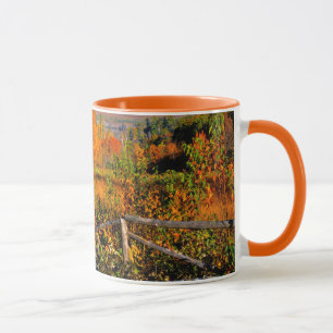 Caneca EUA, Nova Inglaterra, Nova Hampshire, Chocorua