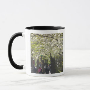 Caneca EUA, Nova York, Nova York, Manhattan: 8