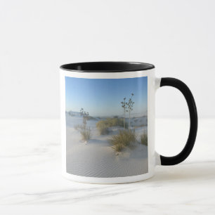 Caneca EUA, Novo México, White Sands National 2