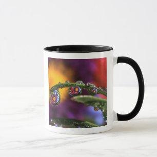 Caneca EUA, Oregon, Close-up abstrato de roxo