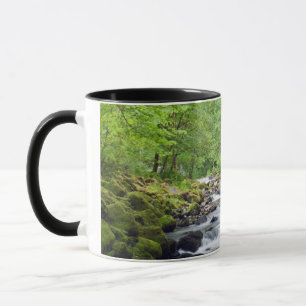 Caneca EUA, Oregon, Desfiladeiro do Rio Columbia, Tanner