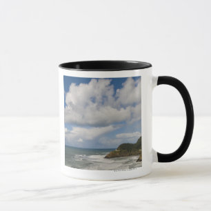 Caneca EUA, Oregon, farol principal de Heceta