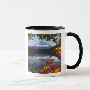 Caneca EUA, Oregon, Floresta Nacional de Mt. Hood.