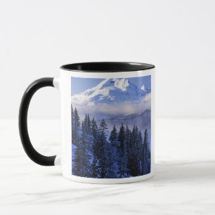 Caneca EUA, Oregon, Floresta Nacional Deschutes, Sul