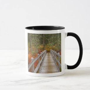 Caneca EUA, Oregon, Floresta Nacional Willamette.