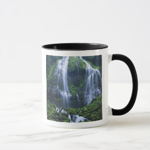 Caneca EUA, Oregon, Floresta Nacional Willamette. Vista d