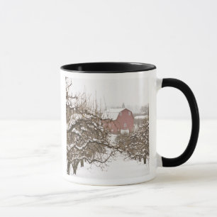 Caneca EUA, Oregon, Hood River. Maçã coberta de neve