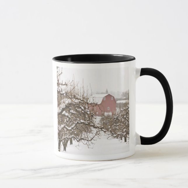 Caneca EUA, Oregon, Hood River. Maçã coberta de neve (Direita)