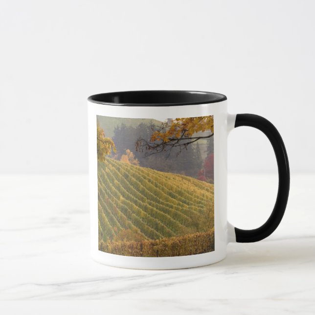 Caneca EUA, Oregon, Newberg. Vinhedo no outono. (Direita)