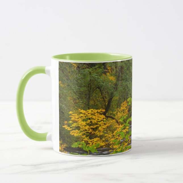 Caneca EUA, Oregon, Parque Estadual Silver Falls 2 (Esquerda)