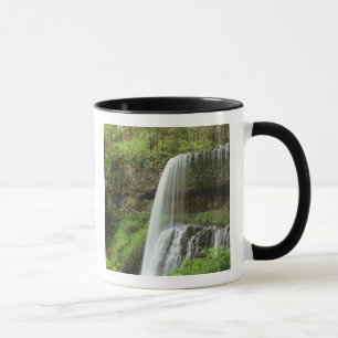 Caneca EUA, Oregon, Parque Estadual Silver Falls. Inferio