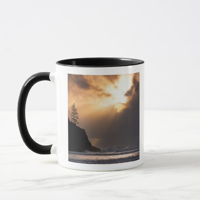 Caneca EUA, Oregon, perto do Parque Estadual Oswald West, (Esquerda)