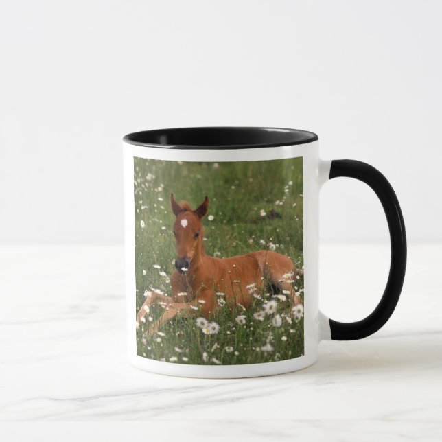 Caneca EUA, Oregon, Pônei Árabe. (Direita)