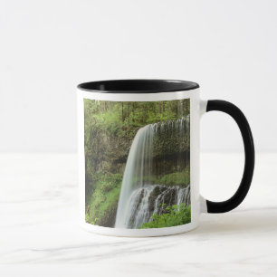 Caneca EUA, Oregon, Silver Falls State Park. Inferior