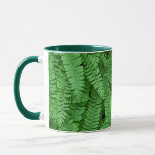 Caneca EUA, Oregon, Silverton. Avencas