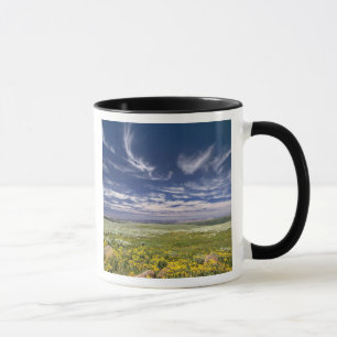 Caneca EUA, Oregon, Steens Mountain. Primavera burgeons