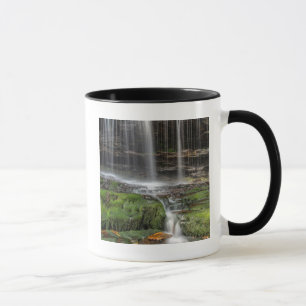 Caneca EUA, Pensilvânia, Benton. Cachoeira Delicada