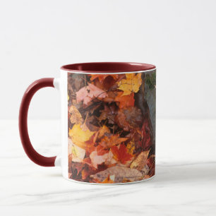 Caneca EUA, Pensilvânia. Fechamento Do Chão Florestal