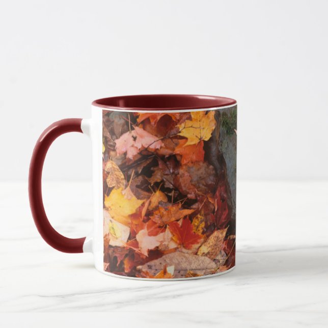 Caneca EUA, Pensilvânia. Fechamento Do Chão Florestal (Esquerda)