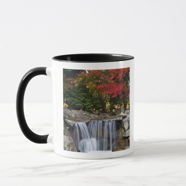 Caneca EUA, Redmond, Washington. Cor de queda num parque. (Esquerda)