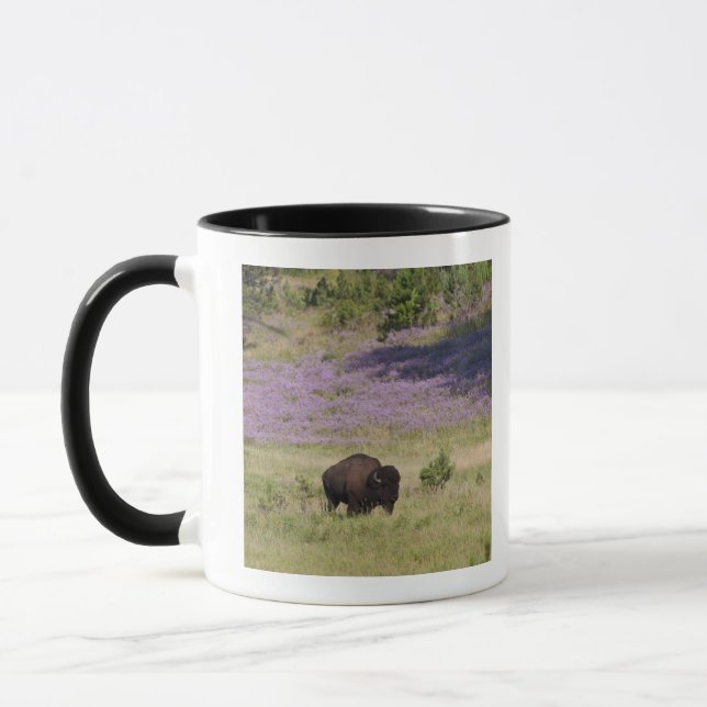 Caneca EUA, South Dakota, bisonte americano (bisonte do (Esquerda)