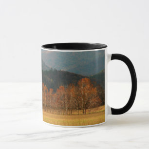 Caneca EUA, Tennessee. Cades Cove In Enfumaçado Mountain