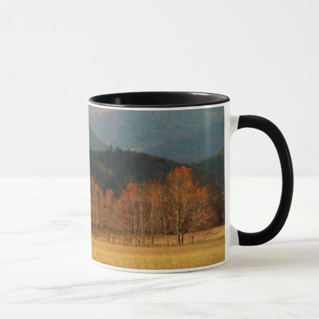 Caneca EUA, Tennessee. Cades Cove In Enfumaçado Mountain (Direita)