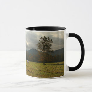 Caneca EUA, Tennessee. Cavalos no Vale de Cades Cove