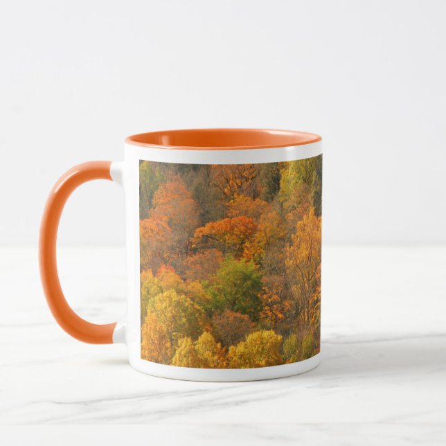 Caneca EUA, Tennessee. Folhagem de Outono 2 (Esquerda)