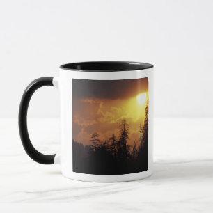 Caneca EUA, Tennessee, Great Smoky Mountains NP. 2