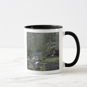 Caneca EUA, Tennessee, Parque Nacional Great Smoky Mounta