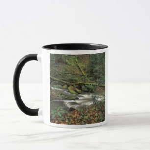 Caneca EUA, Tennessee. Rio Nacional Big South Fork