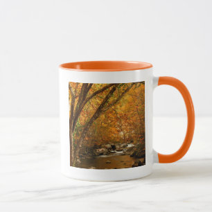 Caneca EUA, Tennessee. Rushing Mountain Creek 3