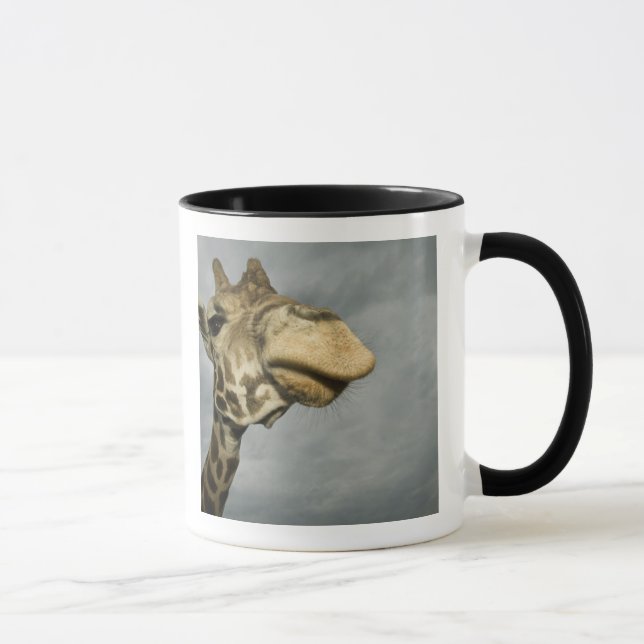 Caneca EUA, Texas, Fossil Rim Wildlife Area, girafa (Direita)