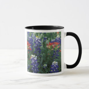 Caneca EUA, Texas Hill Country. Bluebonnets e