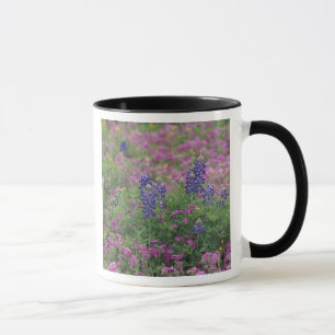 Caneca EUA, Texas Hill Country. Bluebonnets entre phlox