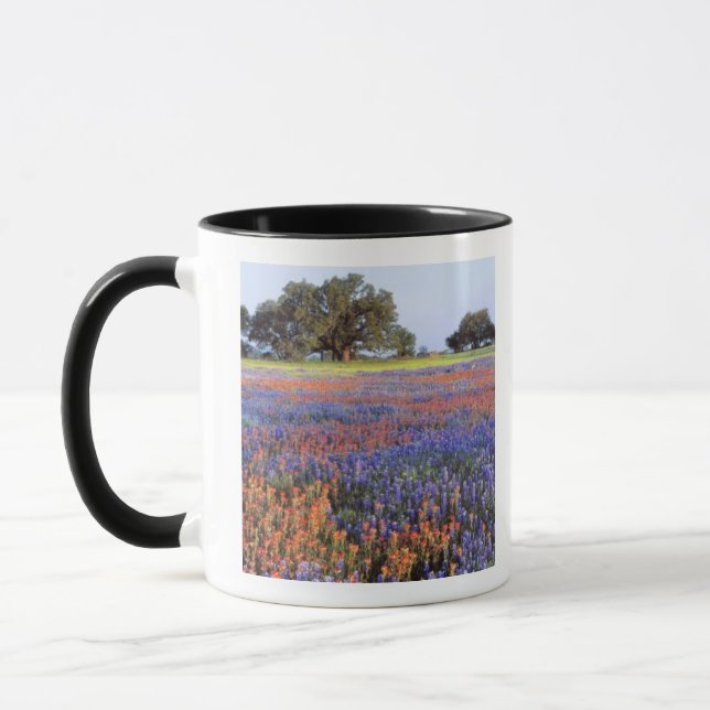 Caneca EUA, Texas, Llano. Bluebonnets e redbonnets (Esquerda)