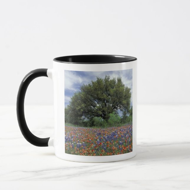 Caneca EUA, Texas, Marble Falls Paintbrush e (Esquerda)