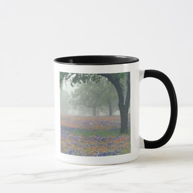 Caneca EUA, Texas. Pincel de Texas e bluebonnets (Direita)